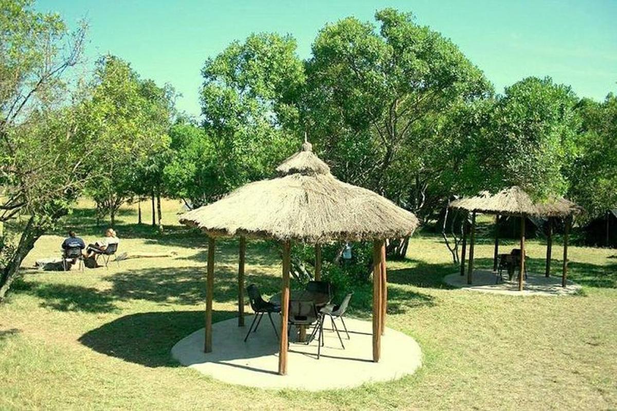 sekumpulan payung dan kerusi di taman
