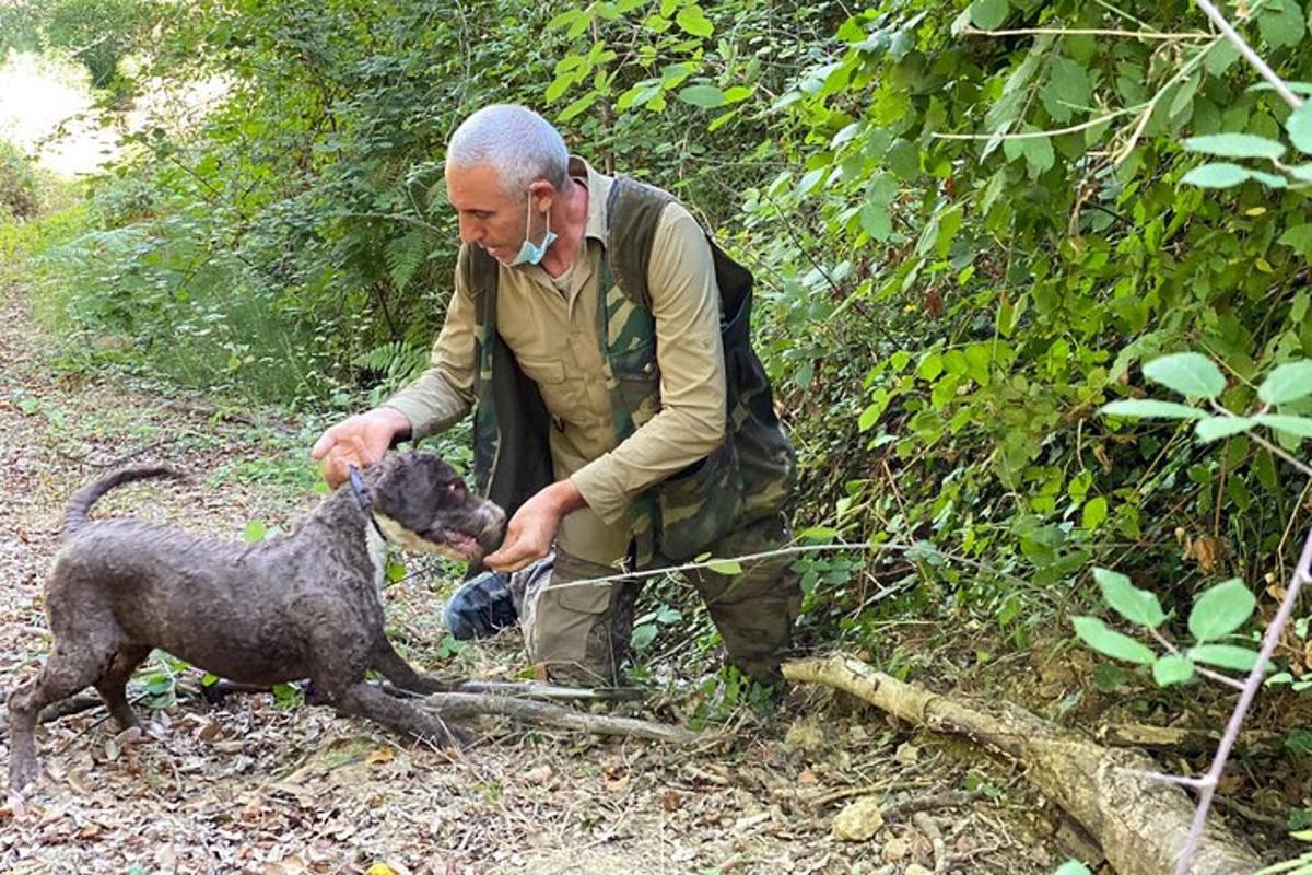 un uomo al telefono con un cane nel bosco