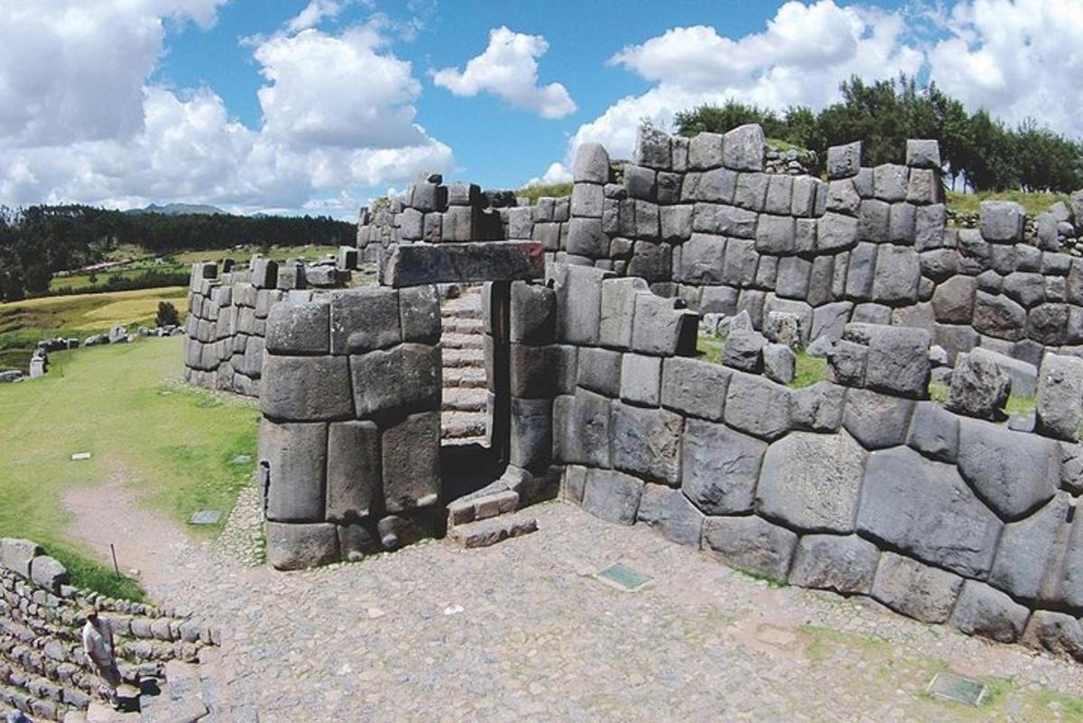 Un antiguo muro de piedra con una puerta en un campo