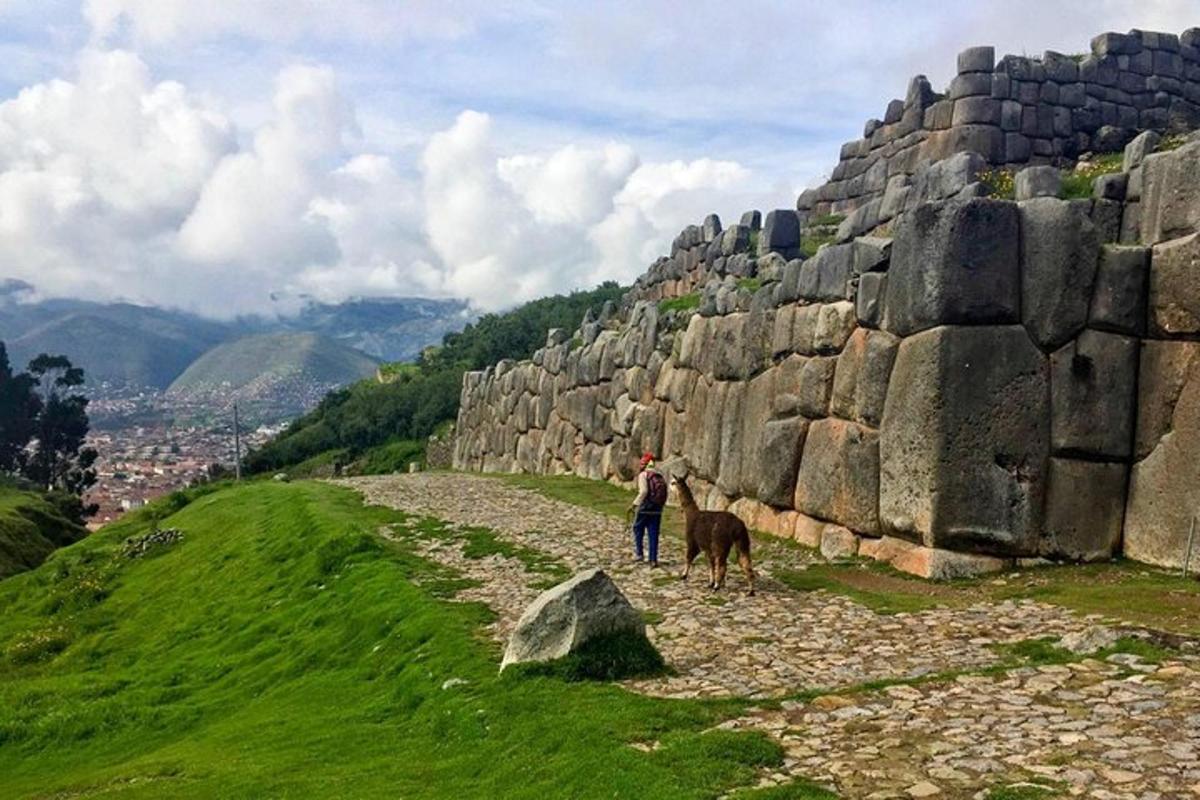 una persona i un gos drets al costat d'una paret de roca