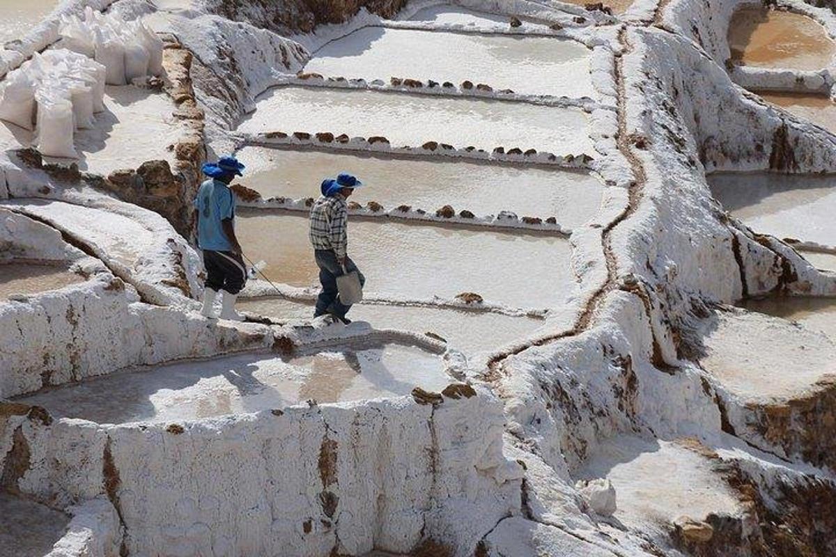 Δύο άντρες κατεβαίνουν τα χιονισμένα σκαλιά με πουλιά πάνω τους