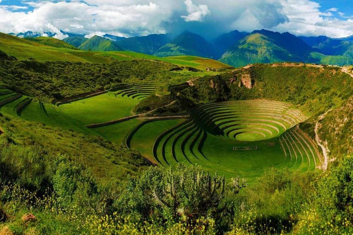 Un grupo de campos en terrazas en una colina con montañas.