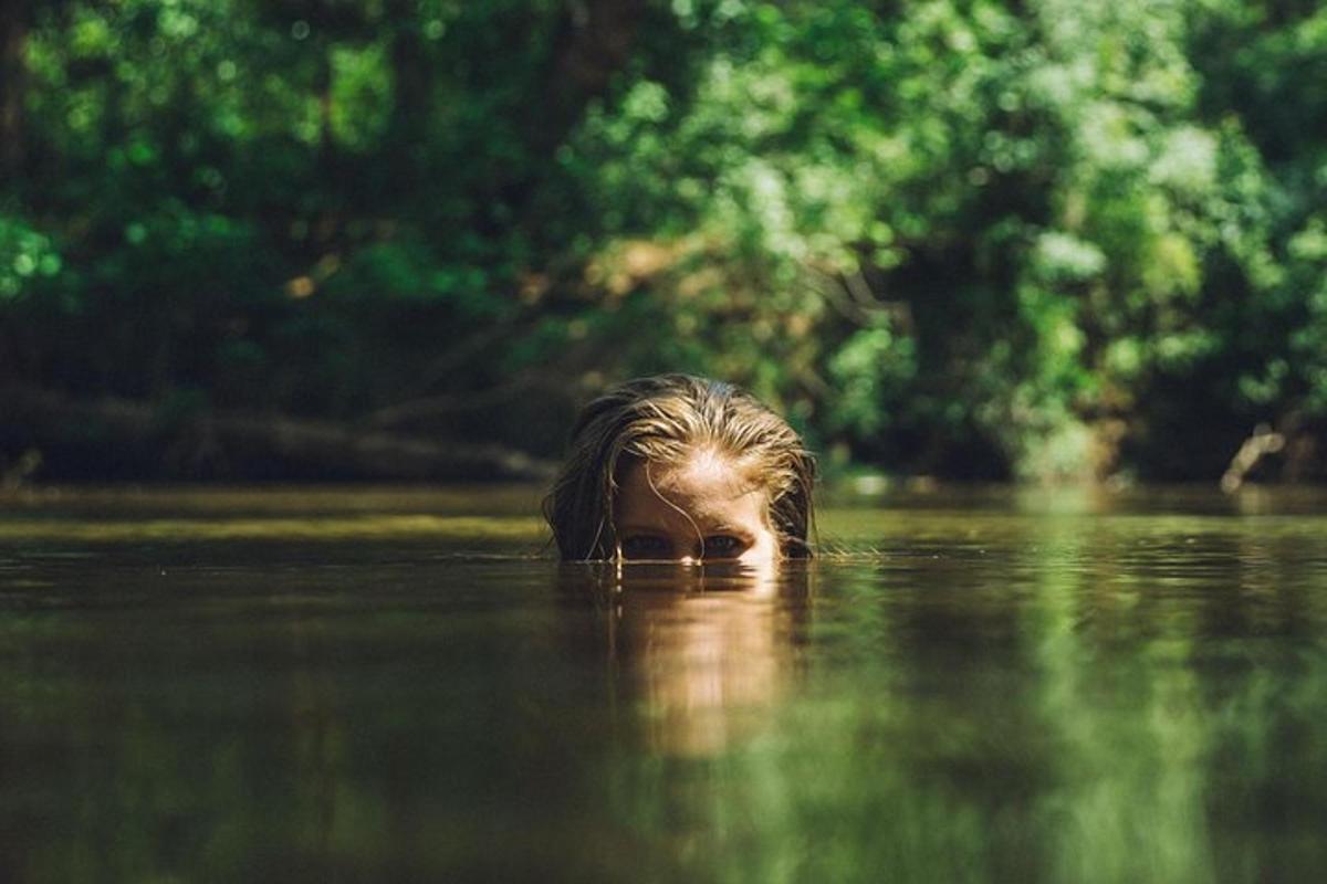 a dog swimming in a body of water