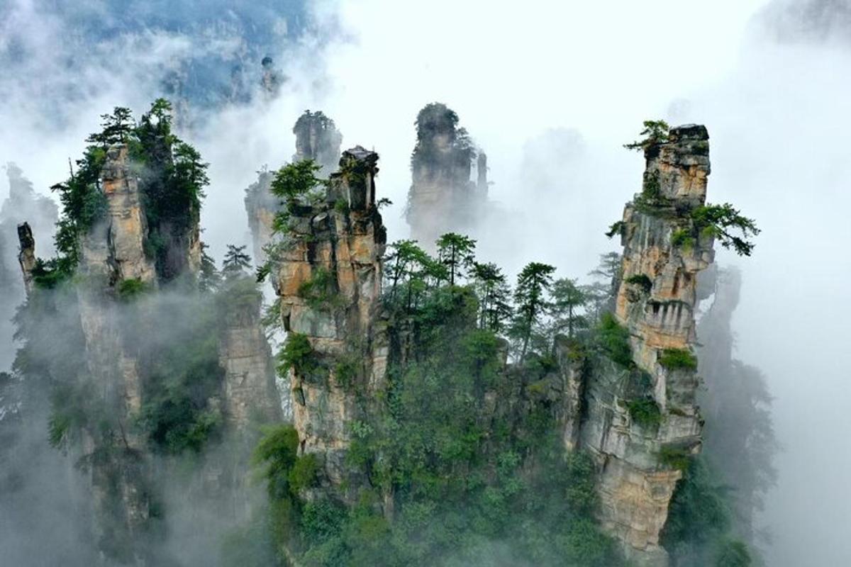 an image of a mountain with trees on it