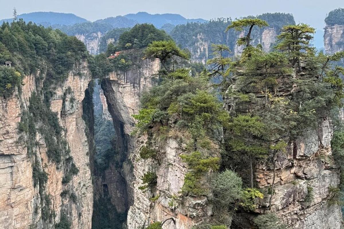 una montagna con alberi in cima
