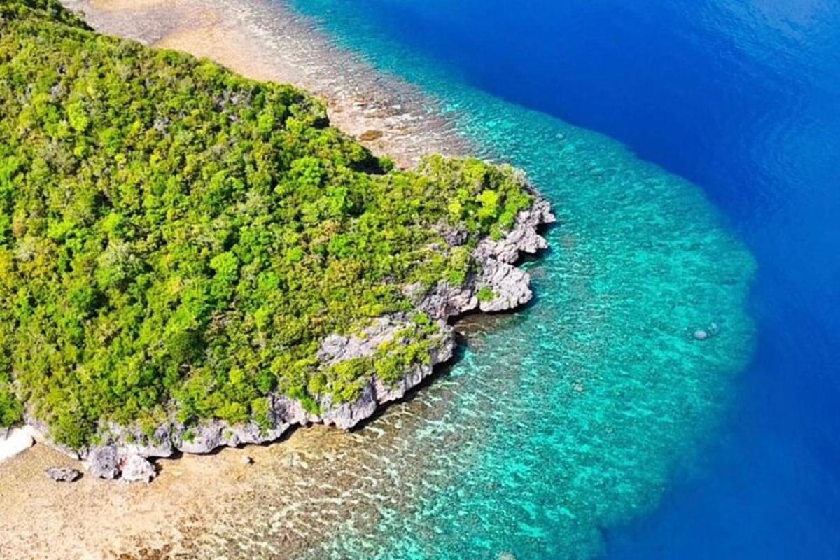 an aerial view of an island in the ocean