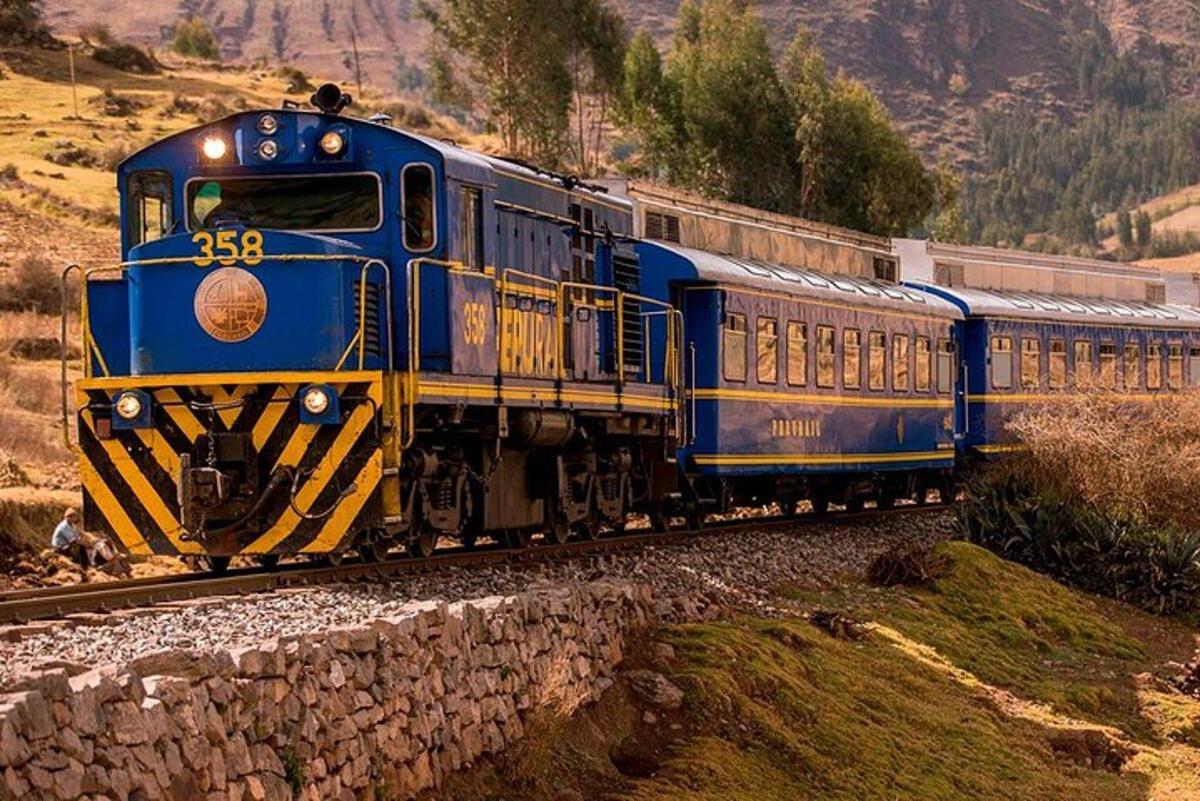 Un tren azul y amarillo viajando por las vías