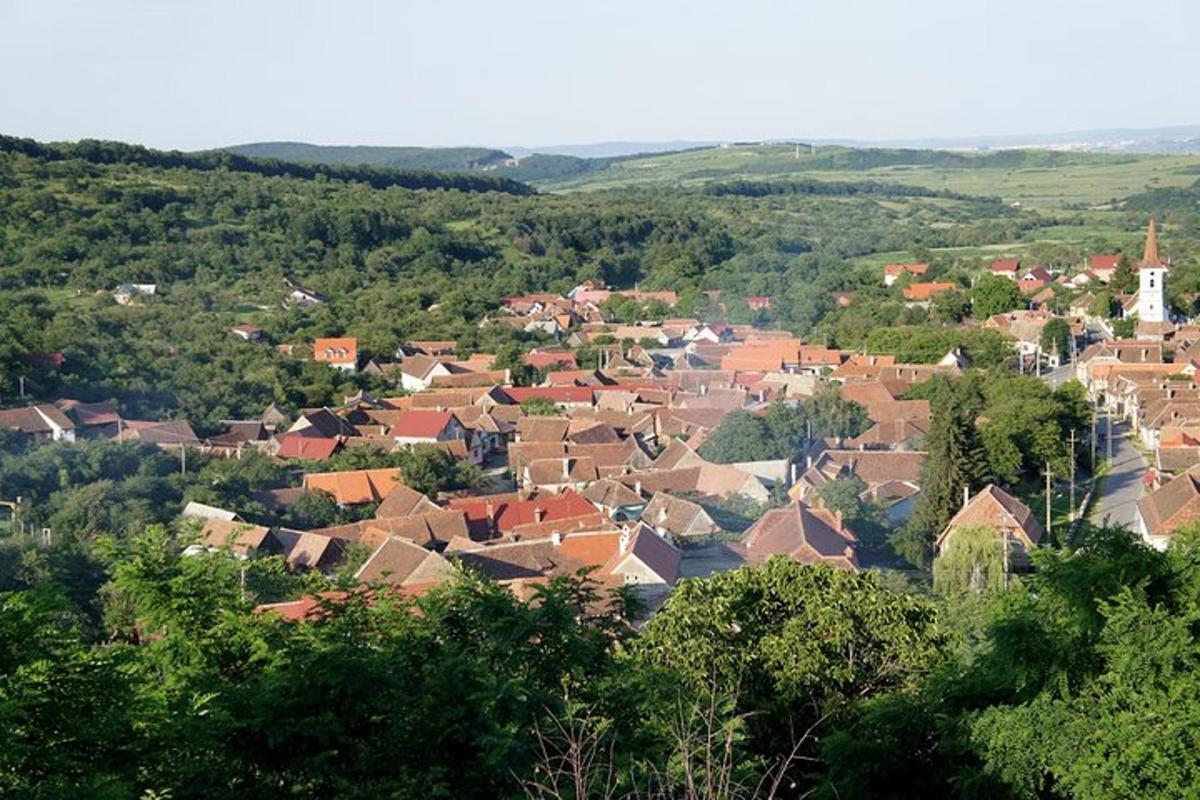 una vista di una città con case e alberi