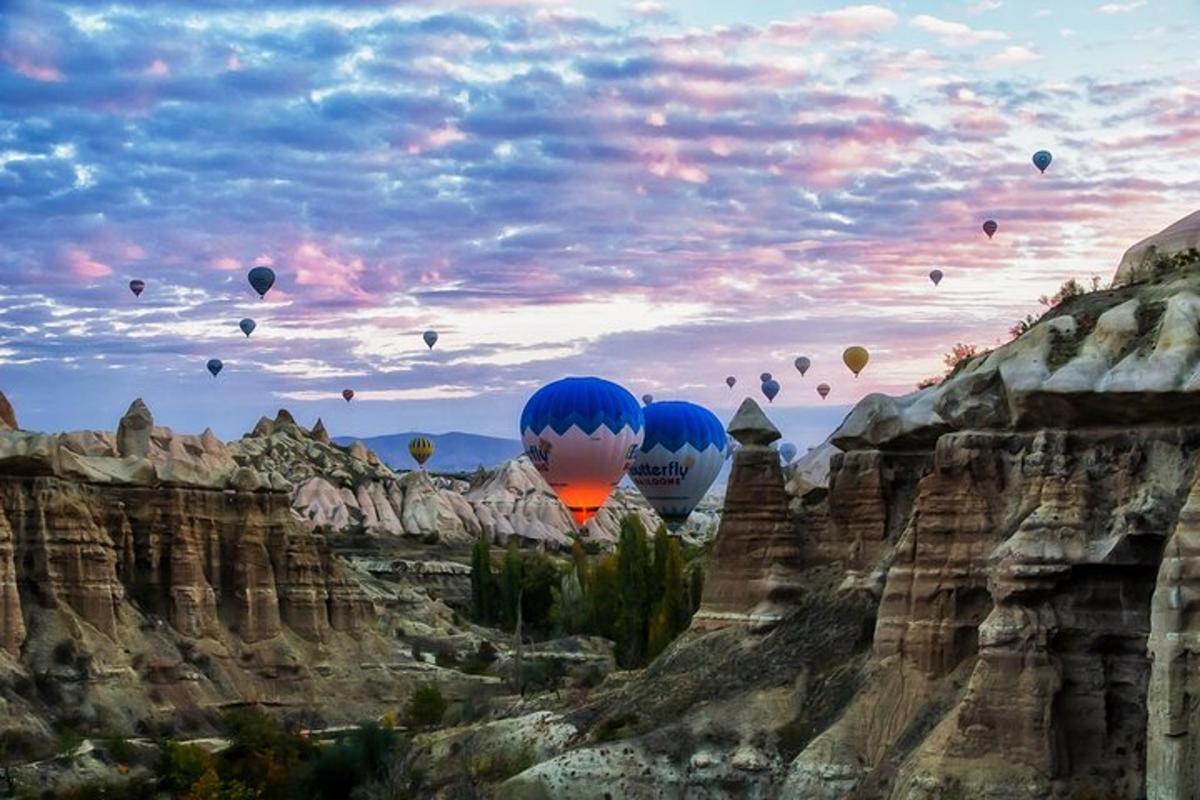 a bunch of hot air balloons flying in the sky