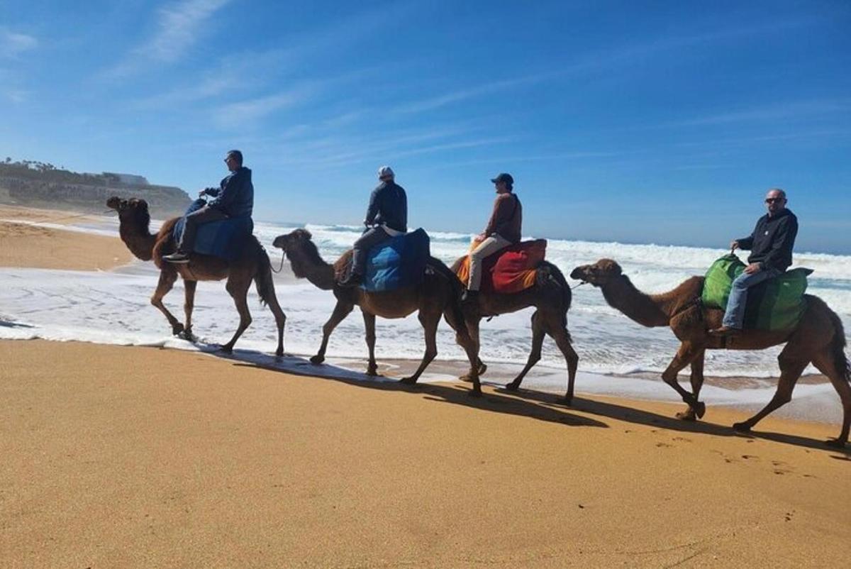 sekelompok orang menunggang kuda di pantai