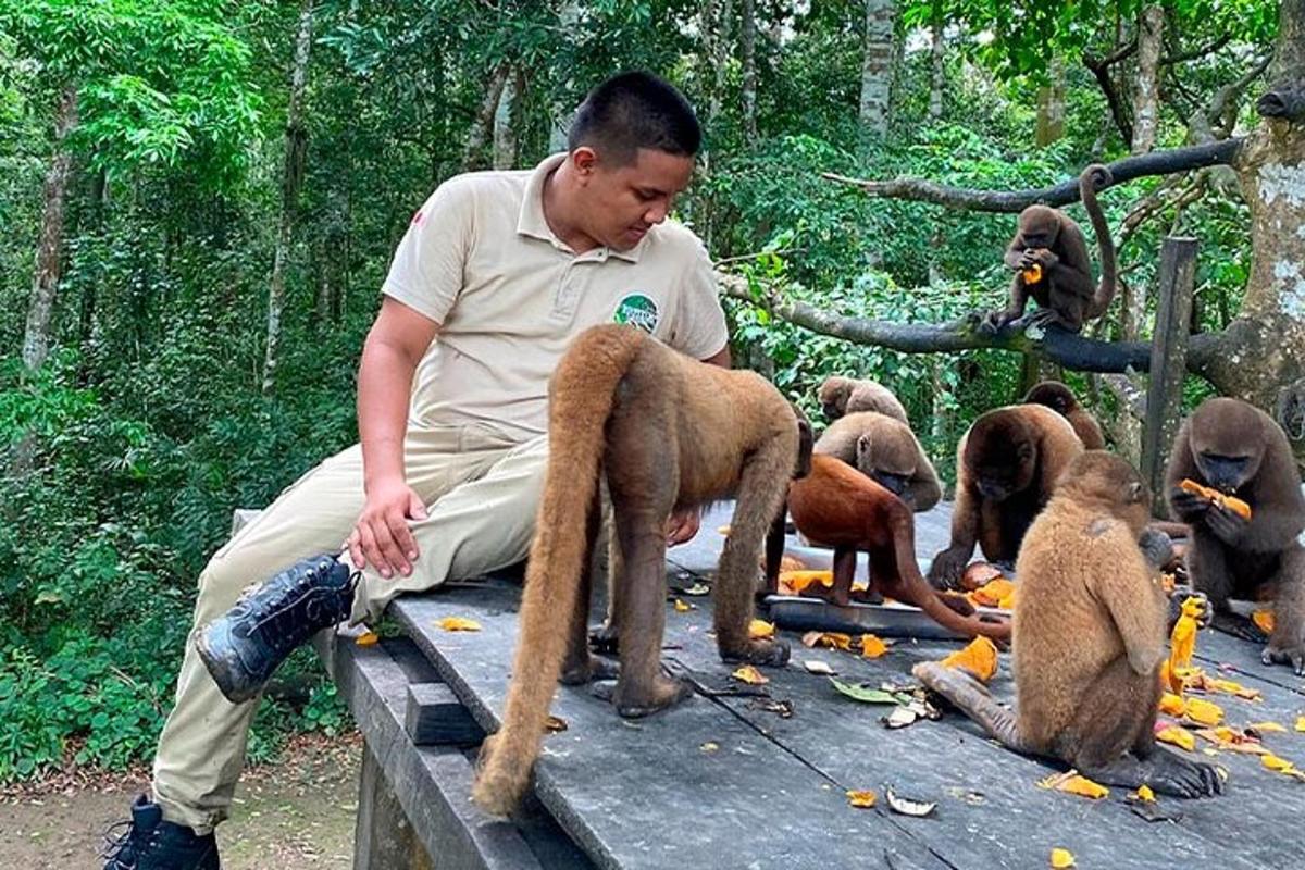 a man sitting on a bench with a bunch of monkeys