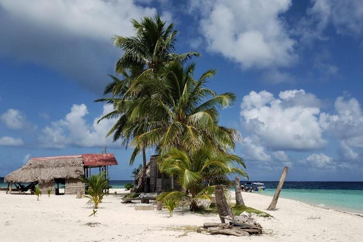 eine Palme und eine Hütte an einem Strand