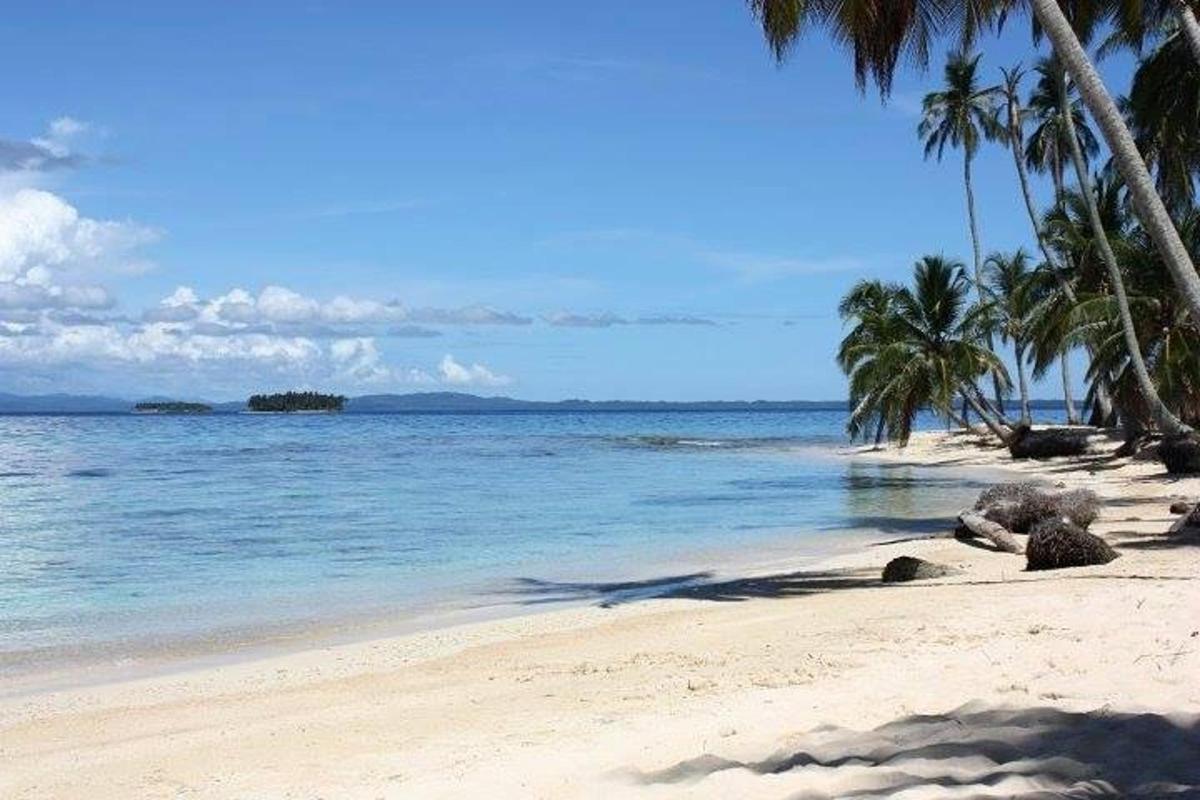 peščena plaža s palmami in oceanom