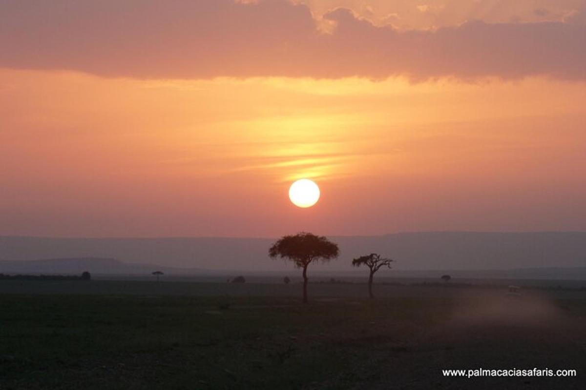 una posta de sol a la sabana amb un arbre en primer pla