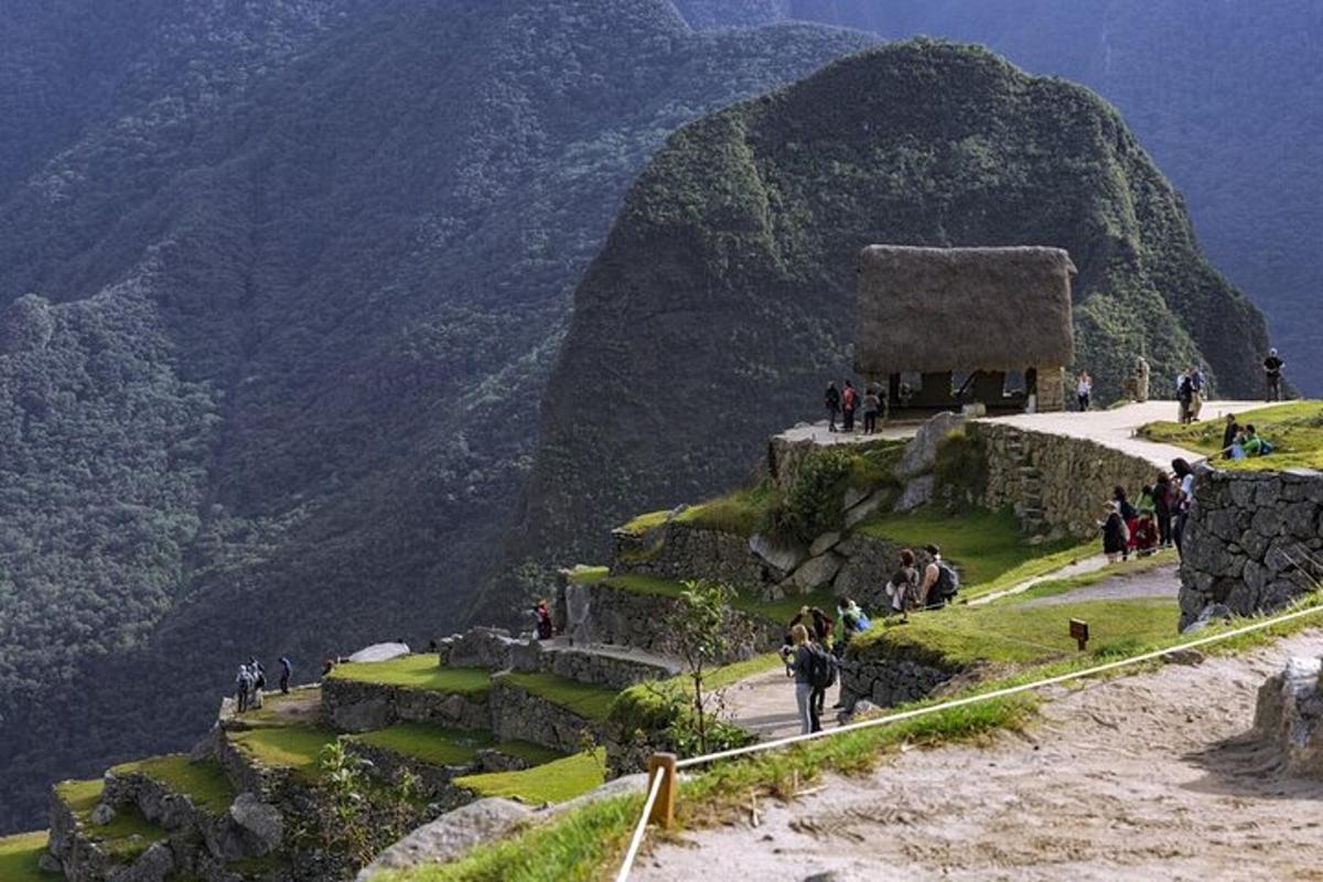 un grupo de personas caminando por una montaña