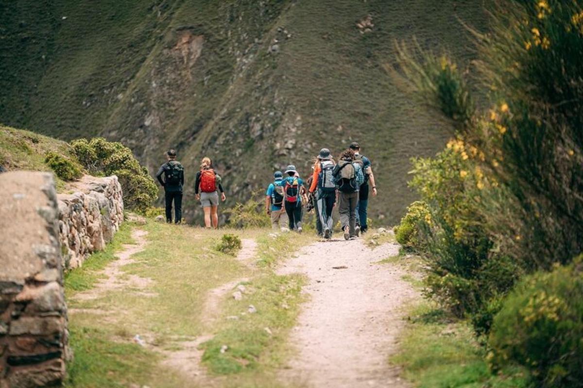 un gruppo di persone che camminano lungo una strada sterrata