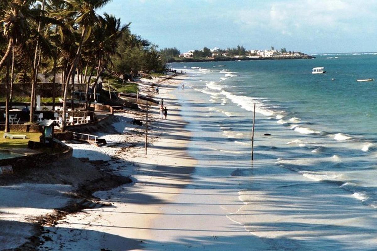 pantai dengan pokok palma dan lautan