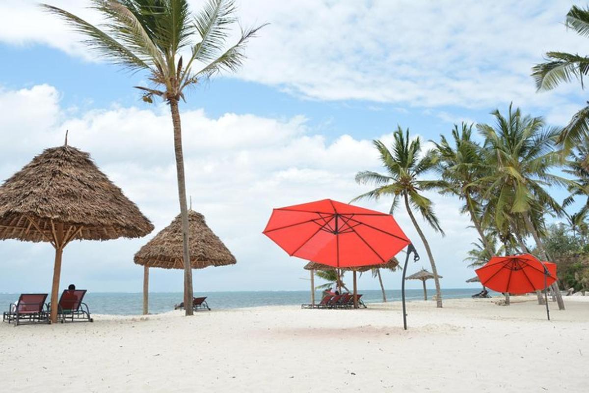 egy strand napernyőkkel, pálmafákkal és az óceánnal