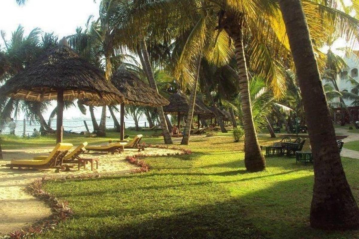 park s lehátky, slunečníky a palmami