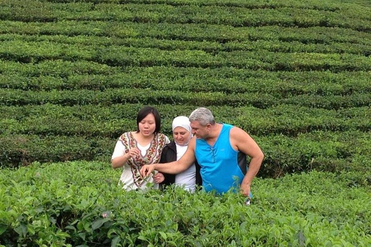 eine Gruppe von Menschen steht auf einem Feld