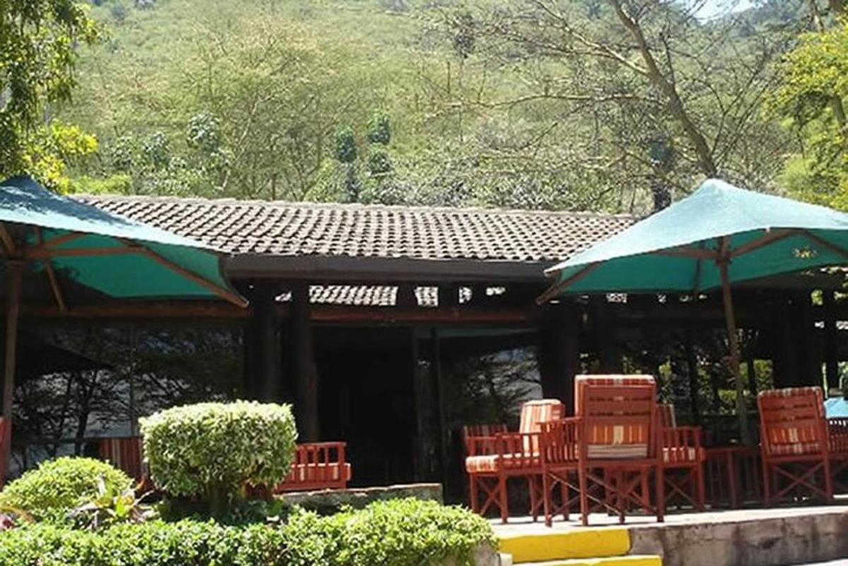 restoran dengan meja, kursi, dan payung