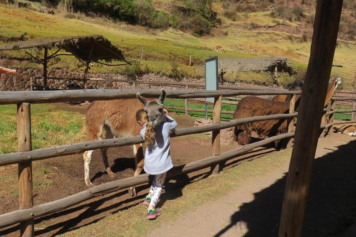 una bambina in piedi accanto a una recinzione con un asino