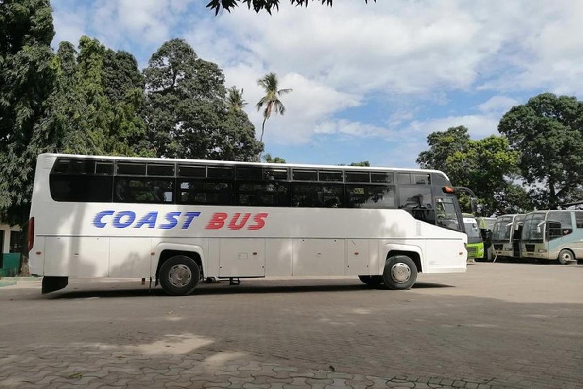 isang puting bus ang nakaparada sa isang parking lot