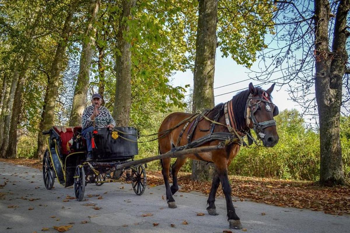 un home que muntava un carruatge tirat per cavalls per una carretera