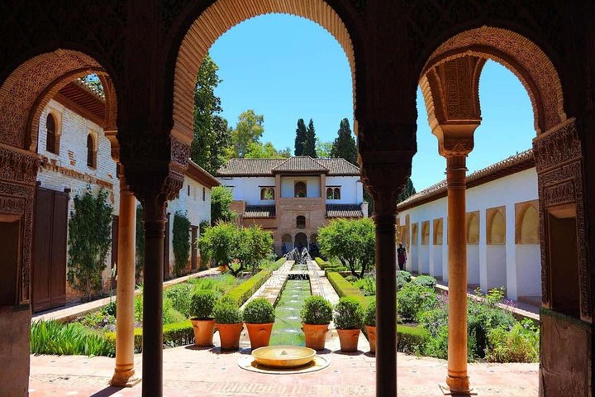 una vista di un giardino da un edificio