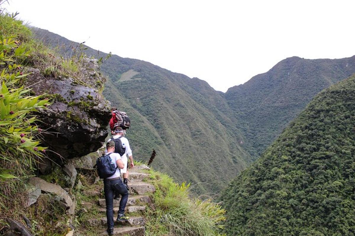 un gruppo di persone che camminano su un sentiero di montagna