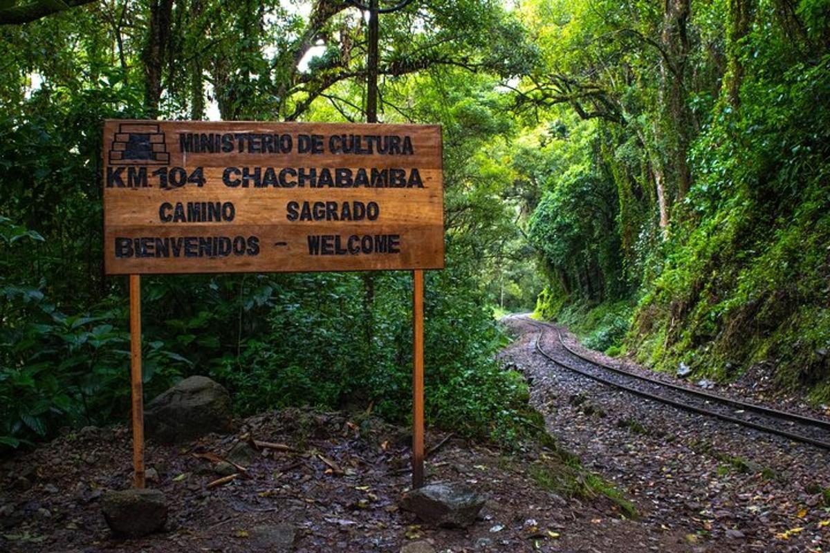 un cartello sul ciglio di una strada nel bosco