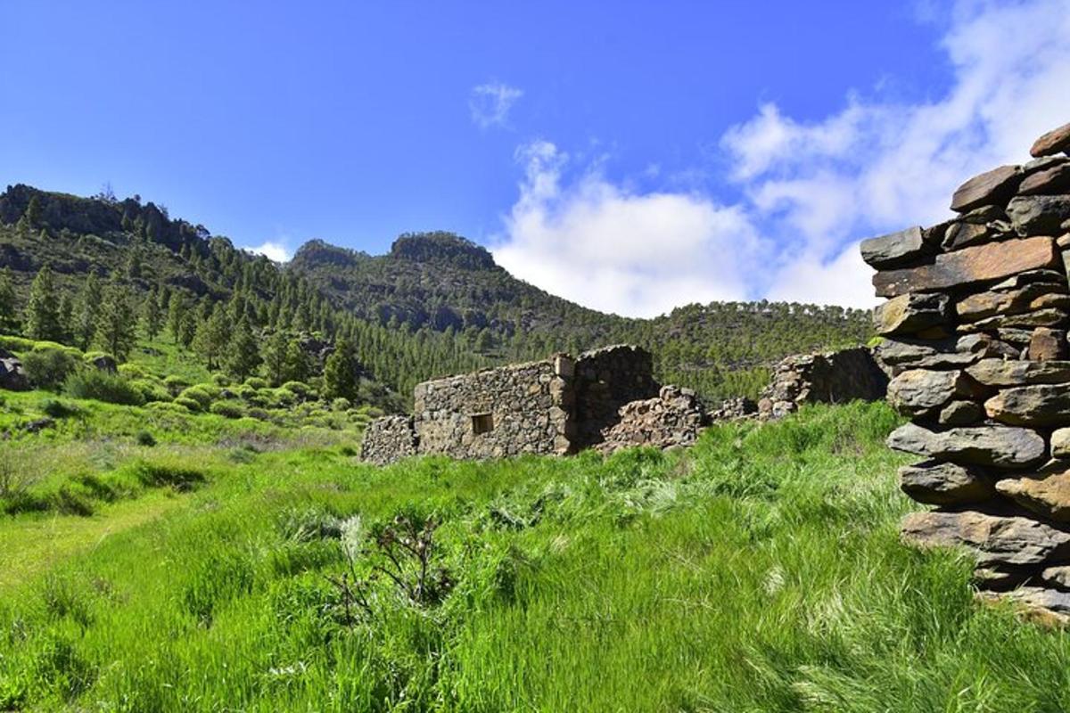 un vecchio edificio in pietra in un campo con le montagne sullo sfondo
