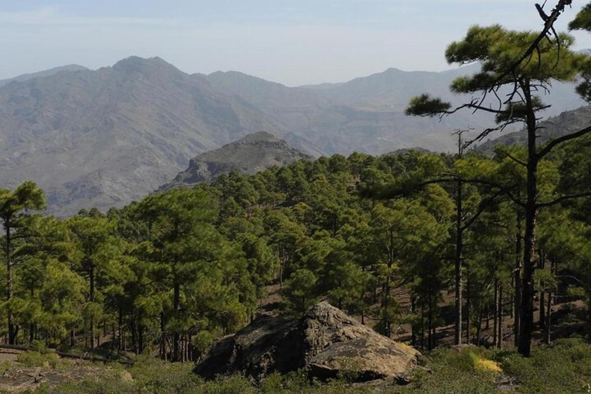 una vista di una montagna con alberi e una roccia