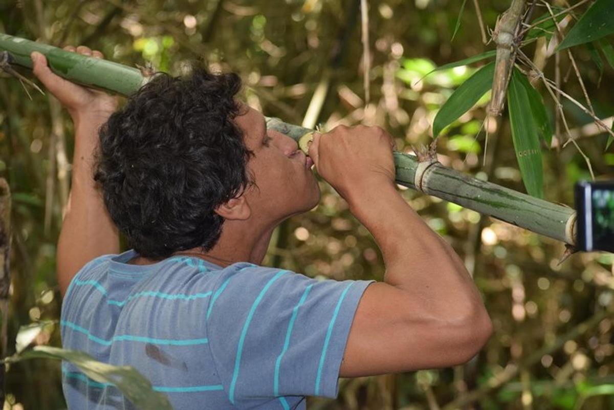 seorang lelaki tergantung di dahan pokok