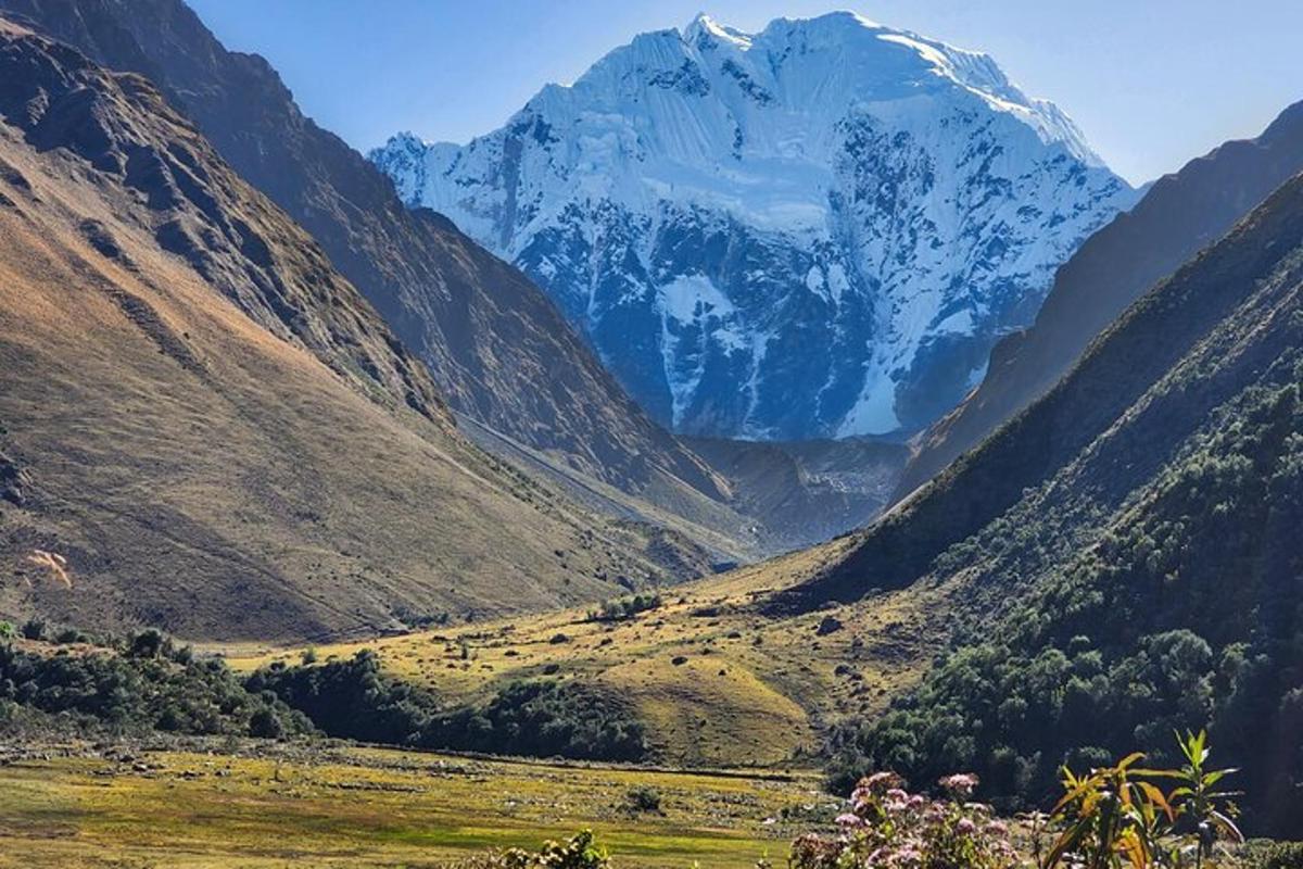 una montagna coperta di neve in una valle con alberi