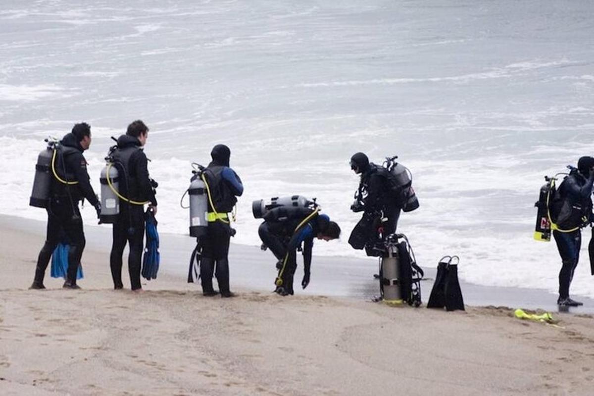 a group of people standing on the beach