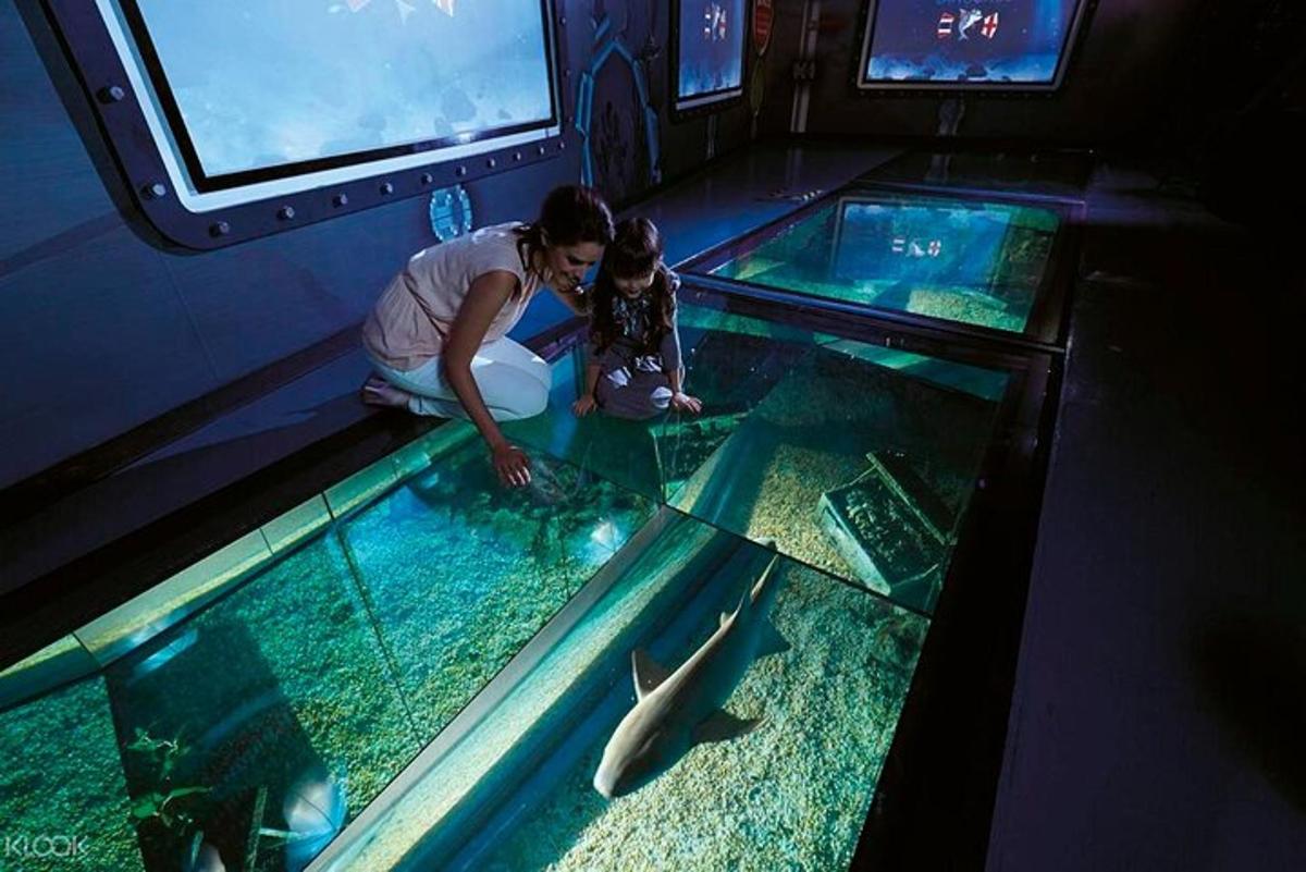 una donna che guarda un pesce in un acquario