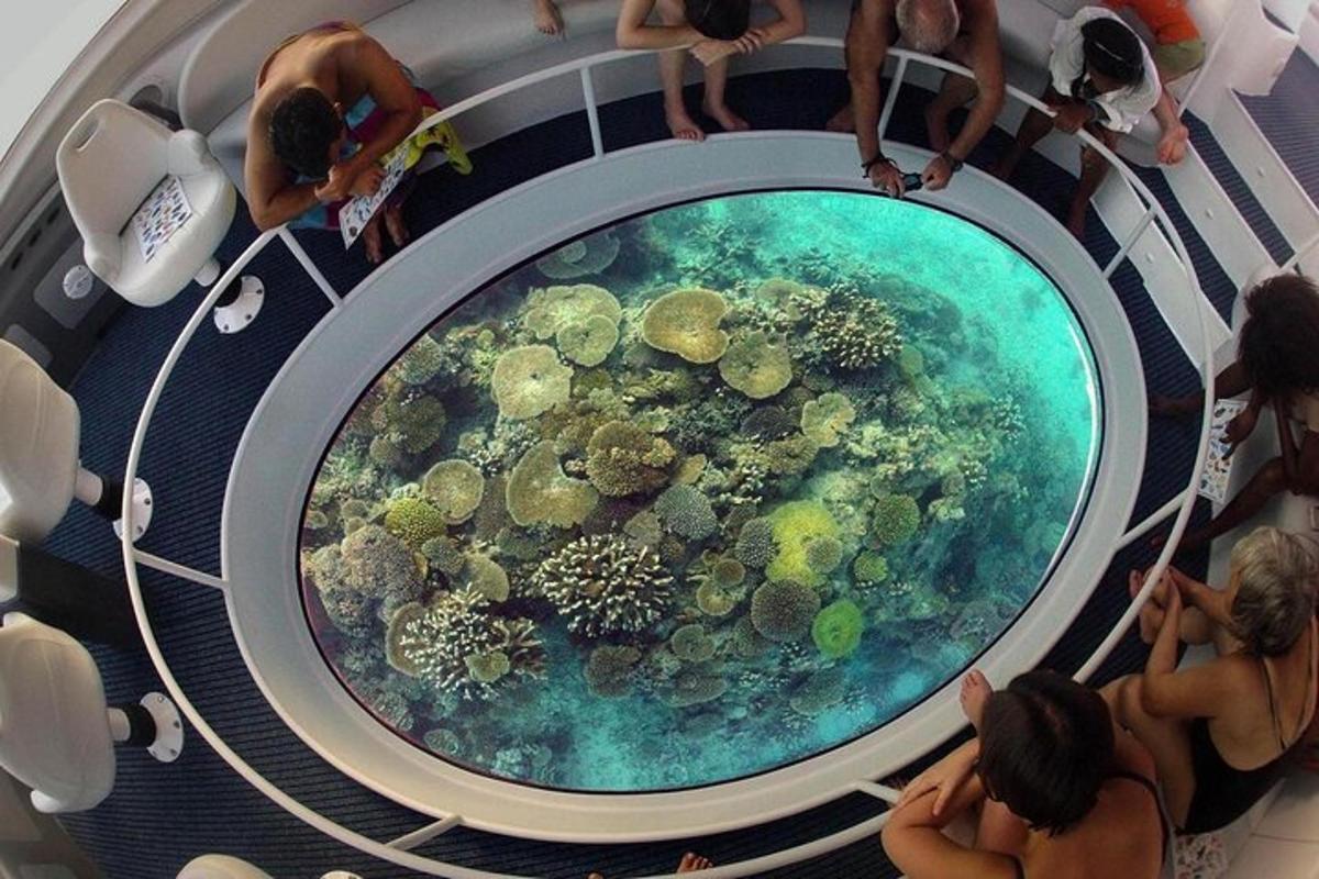 Grupa ludzi ogląda wystawę poświęconą oceanowi