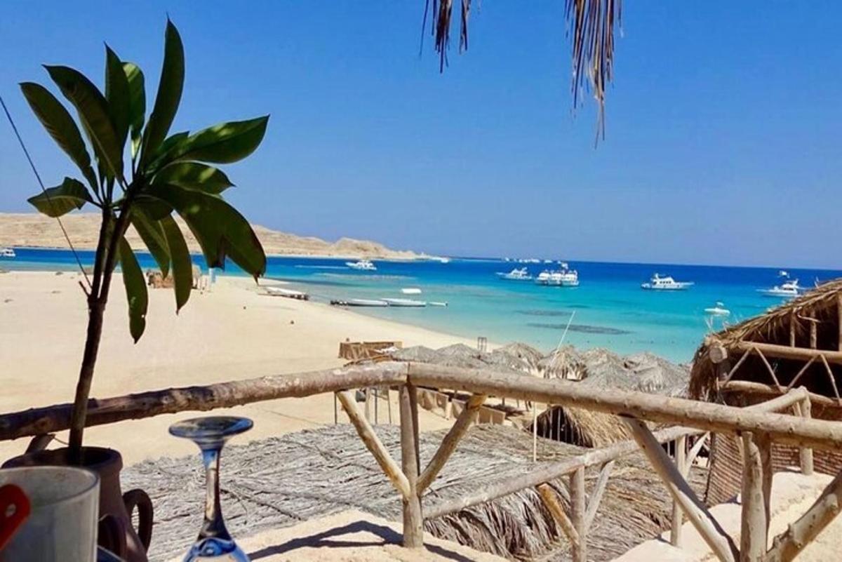 plaża z palmą i oceanem
