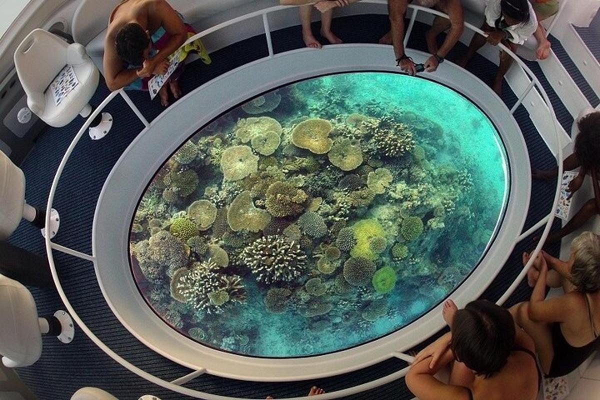 um grupo de pessoas olhando para uma exposição no oceano