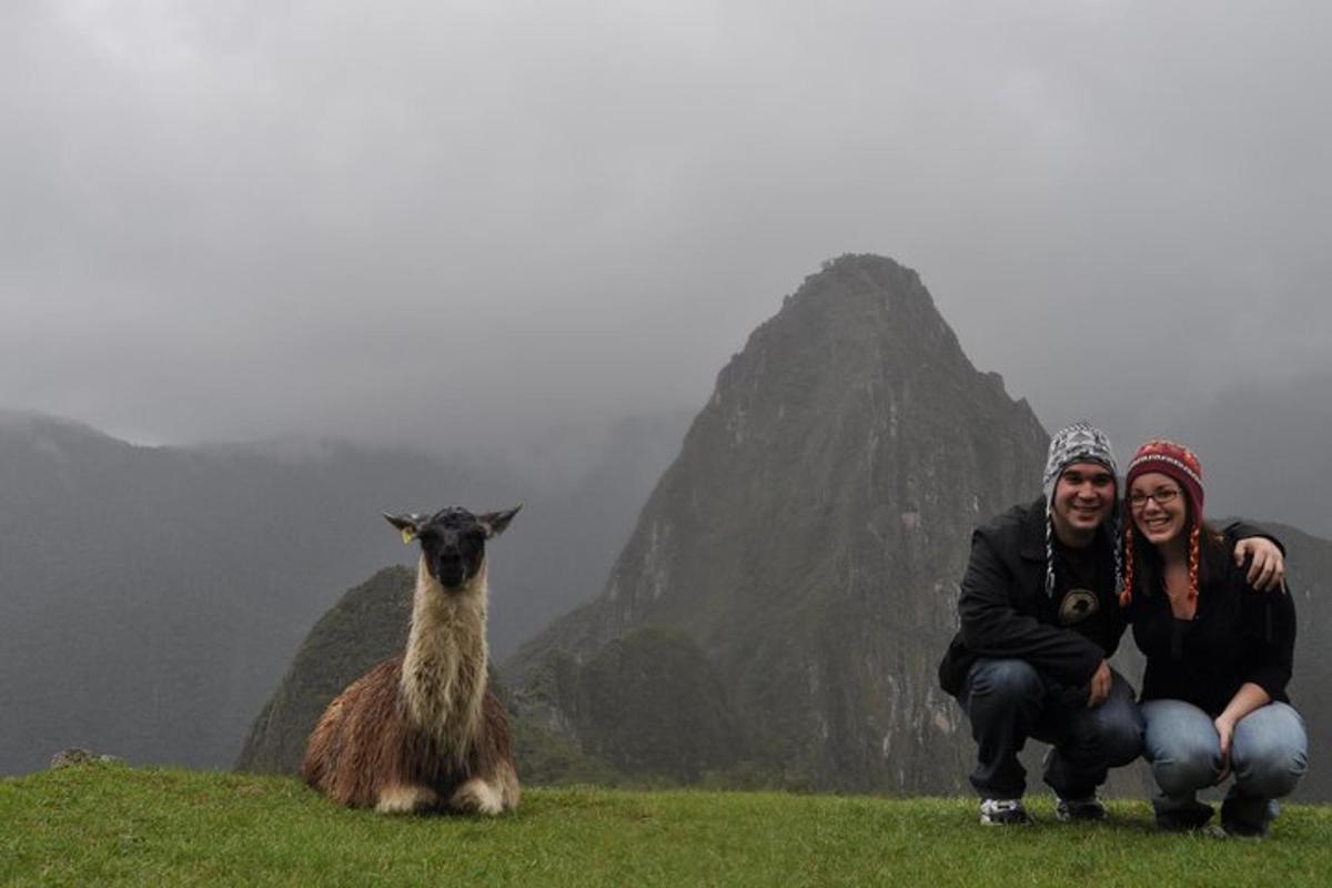 zwei Personen posieren mit einem Lama auf einem Berg