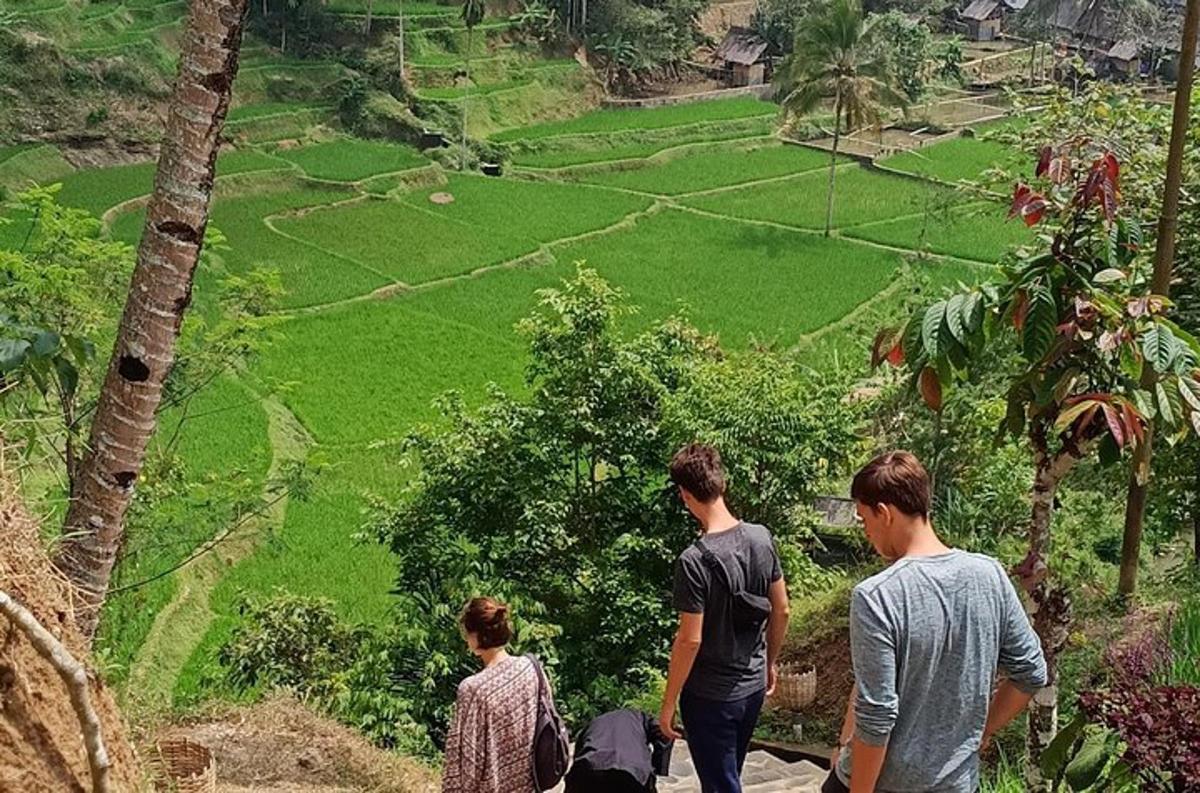 a group of people standing on a hill looking at a field