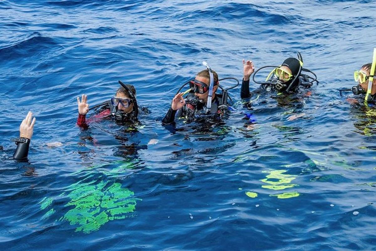 un gruppo di persone in acqua nell'acqua