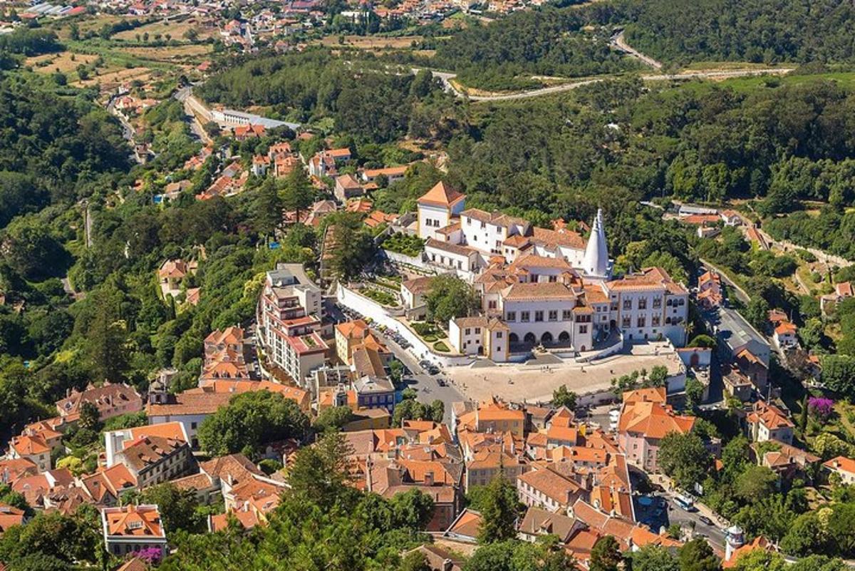 an aerial view of a village with a large building
