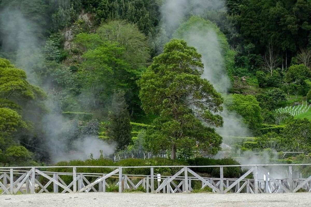 一座树木繁茂的山前的桥