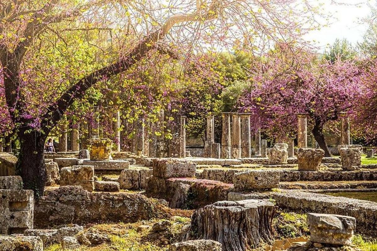 ένας κήπος με μερικά δέντρα και μερικές πέτρες και δέντρα