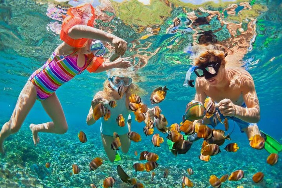 sekumpulan orang berenang di dalam air bersama ikan