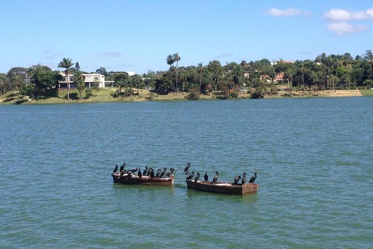 zwei Boote voller Vögel, die im Wasser sitzen