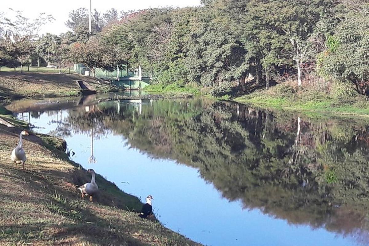 zwei Vögel stehen am Ufer eines Flusses