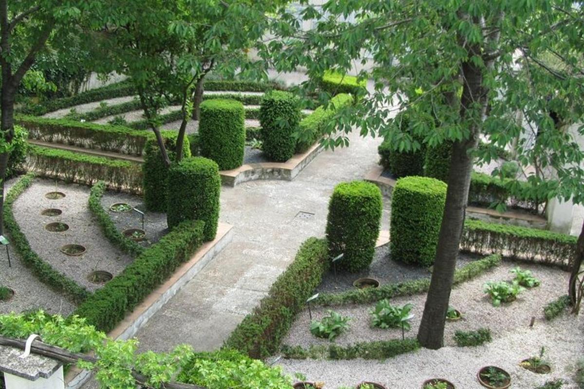 Una vista aérea de un jardín con arbustos y árboles.